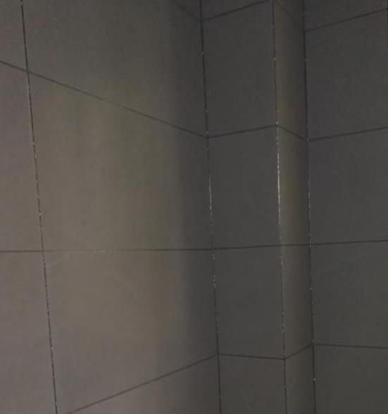 衛(wèi)生間瓷磚顏色不一樣,可以使用同一種美縫顏(圖1) 衛(wèi)生間瓷磚顏色不一樣,可以使用同一種美縫顏(圖1)